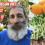 30 Years on the Raw Vegan Diet: My Tips & Why It’s the Best Way to Eat